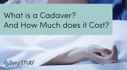 How much does a cadaver cost?